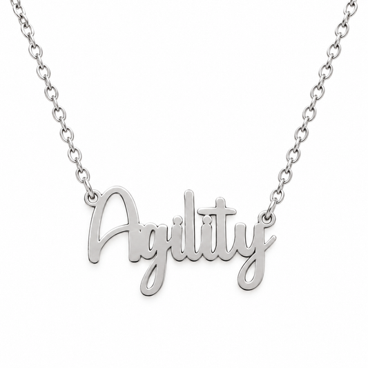 Collier KIRA PET JEWERLY - AGILITY - En Acier Inoxydable avec chaîne maille fine