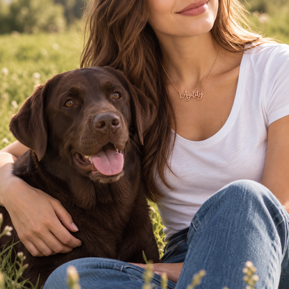 Collier KIRA PET JEWELRY - AGILITY - En acier inoxydable couleur OR ROSE - Avec chaîne à mailles serrées