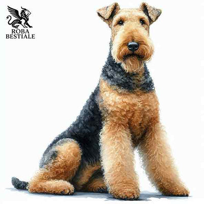Airedale Terrier