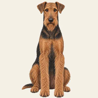 Airedale Terrier