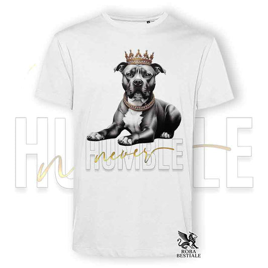 NEVER HUMBLE T-shirt - AMERICAN STAFFORDSHIRE TERRIER - White or Beige, Men's or Women's - from XS to 5XL