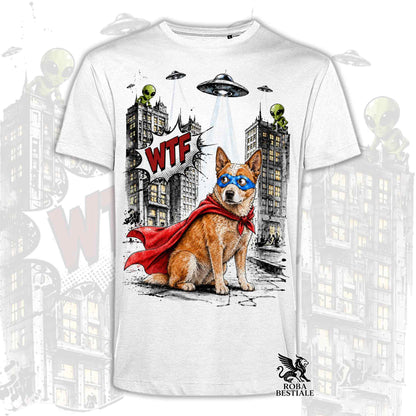 T-shirt bianca stampata con un Australian Cattle Dog con espressione sorpresa, vestito da Super Eroe. Grafica originale Roba Bestiale, collezione Hero