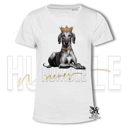 T-shirt stampata con un Azawakh, colore bianco con grafica Never Humble