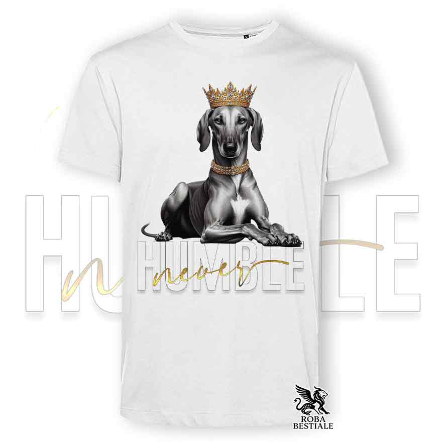 T-shirt stampata con un Azawakh, colore bianco con grafica Never Humble