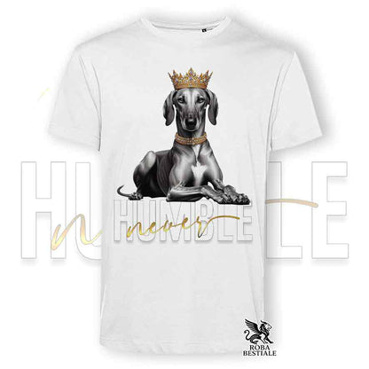 T-shirt stampata con un Azawakh, colore bianco con grafica Never Humble