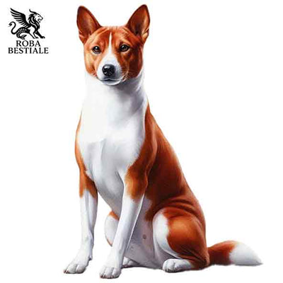 Basenji