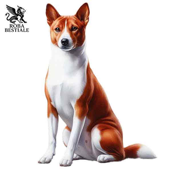 Basenji