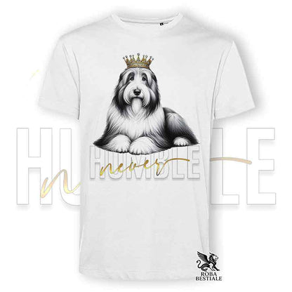 T-shirt stampata con un Bearded Collie, colore bianco con grafica Never Humble