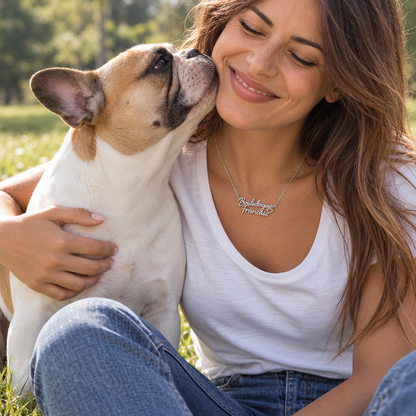 Collier KIRA PET JEWELRY - BOULEDOGUE FRANCAIS - En Acier Inoxydable avec chaîne maille fine