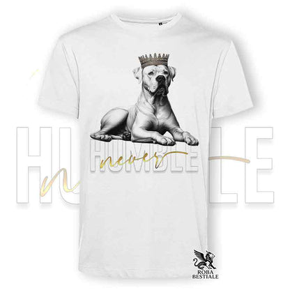 T-shirt stampata con un Dogo Argentino, colore bianco con grafica Never Humble