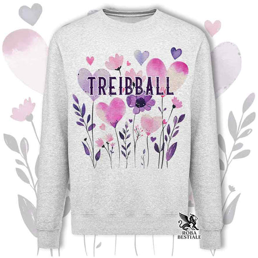 Felpa girocollo grigia stampata con una grafica dedicata al Treibball, collezione Candy