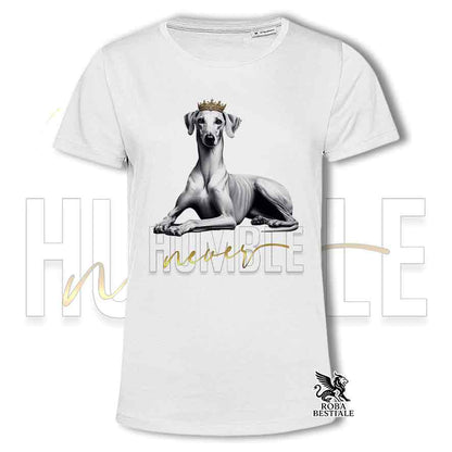 T-shirt GALGO ESPANOL Cannella - Collezione Never Humble