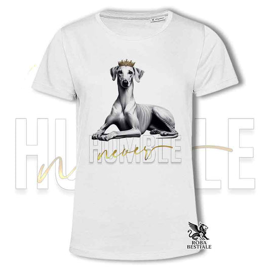 T-shirt GALGO ESPANOL Cannella - Collezione Never Humble