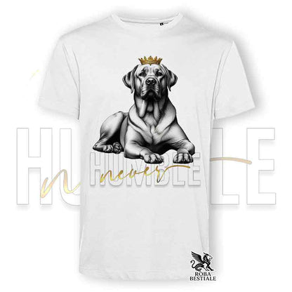 T-shirt stampata con un Labrador giallo, colore bianco con grafica Never Humble