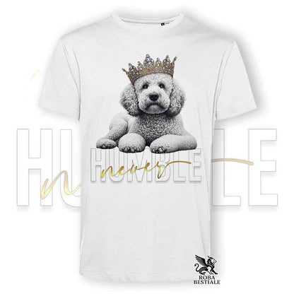 T-shirt stampata con un Lagotto Romagnolo bianco, colore bianco con grafica Never Humble