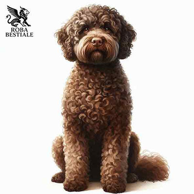 Lagotto Romagnolo