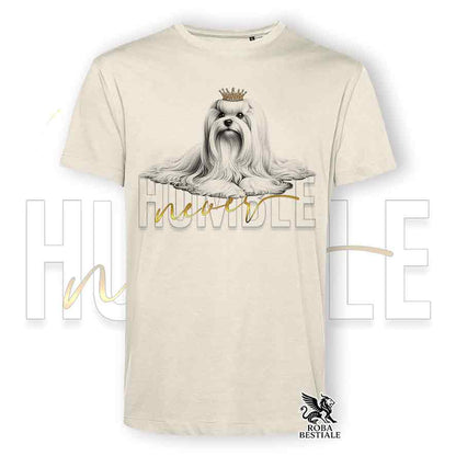 T-shirt stampata con un Maltese, colore beige con grafica Never Humble