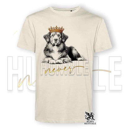 T-shirt stampata con un Nova Scotia Duck Tolling Retriever, colore beige con grafica Never Humble