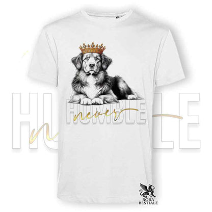 T-shirt stampata con un Nova Scotia Duck Tolling Retriever, colore bianco con grafica Never Humble