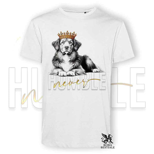 T-shirt stampata con un Nova Scotia Duck Tolling Retriever, colore bianco con grafica Never Humble