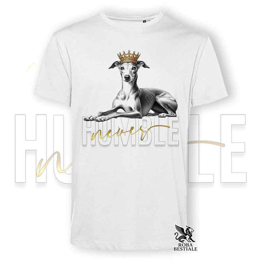 T-shirt stampata con un Piccolo Levriero Italiano, colore bianco con grafica Never Humble