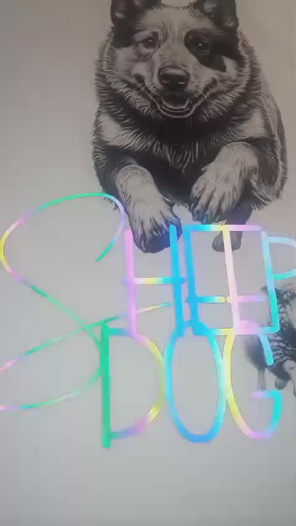 DOODLE T-Shirt - WHIPPET