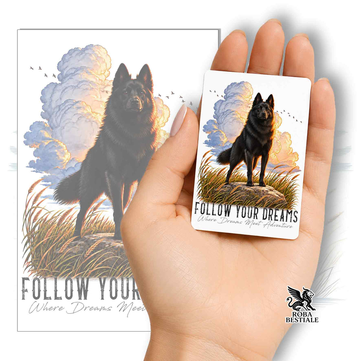 Calamita Dream con Schipperke nero e scritta “FOLLOW YOUR DREAMS”.