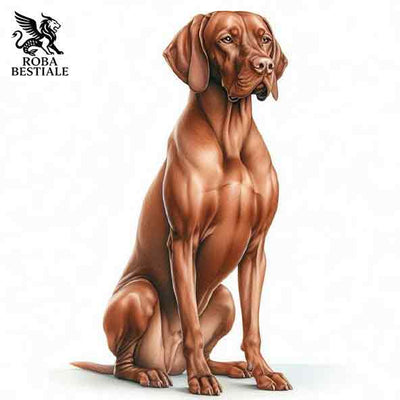 Vizsla