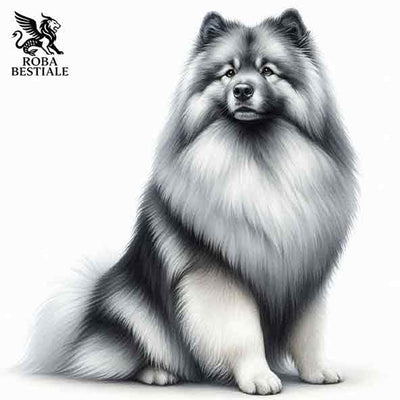 Wolfspitz